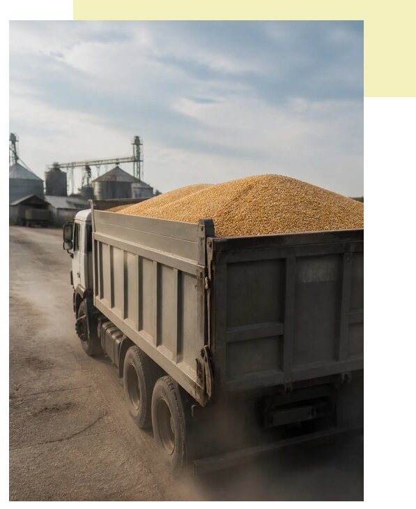 Перевозка сельхозпродукции навалом в Туймазы по цене от 3057 р. | Агросервис-Тмз